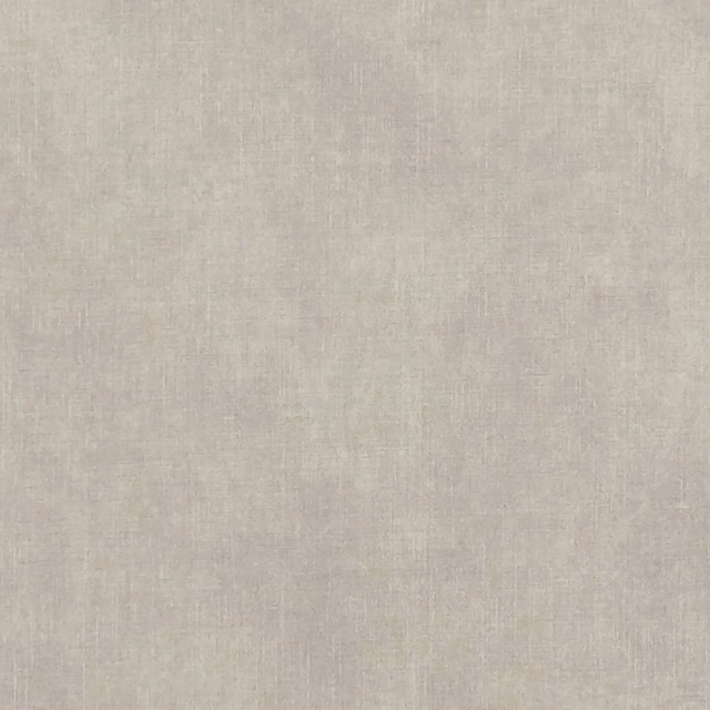Pale parchment beige plain weave with subtle crosshatched woven texture