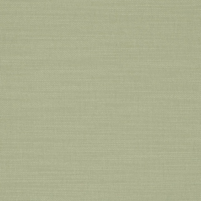 Muted sage-green plain weave with a fine crosshatch texture