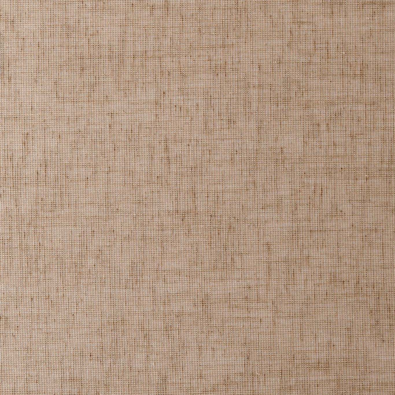 Warm mocha-beige sheer with a fine, lightly slubbed woven grid