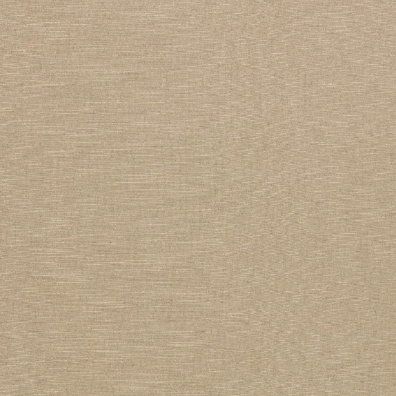 Warm buff beige plain weave with fine horizontal texture in close-up swatch
