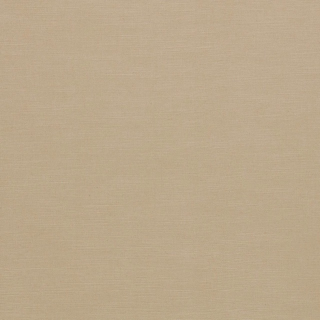 Warm buff beige plain weave with fine horizontal texture in close-up swatch