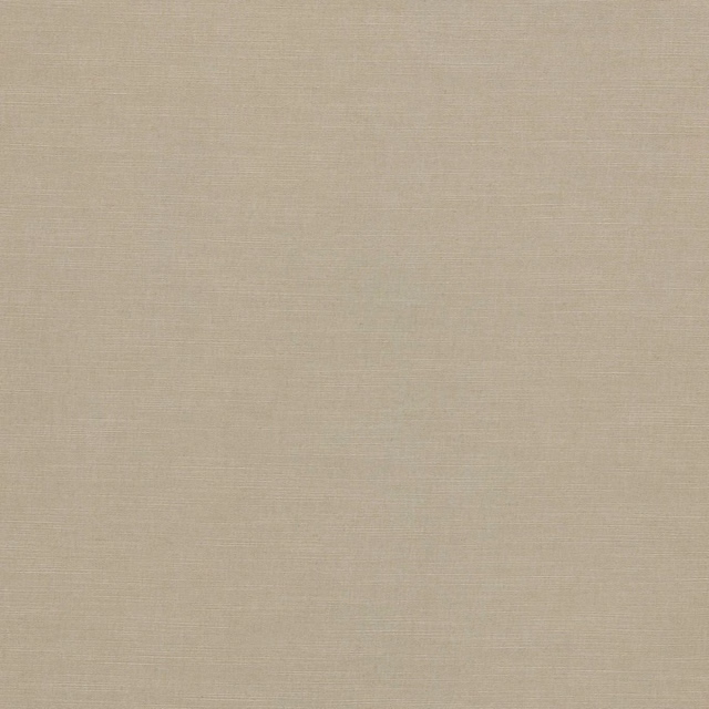 Pale warm greige plain weave with fine linen-look texture and subtle slubs