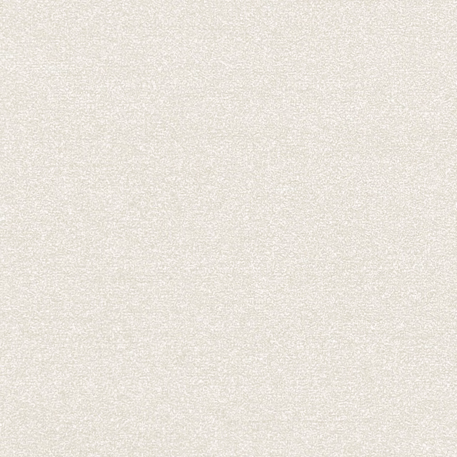 Pale polar cream textile with a fine mottled weave and softly shifting surface