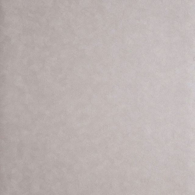 Pale silver-grey wallpaper with subtle interlocking hexagon lines and softly mottled texture