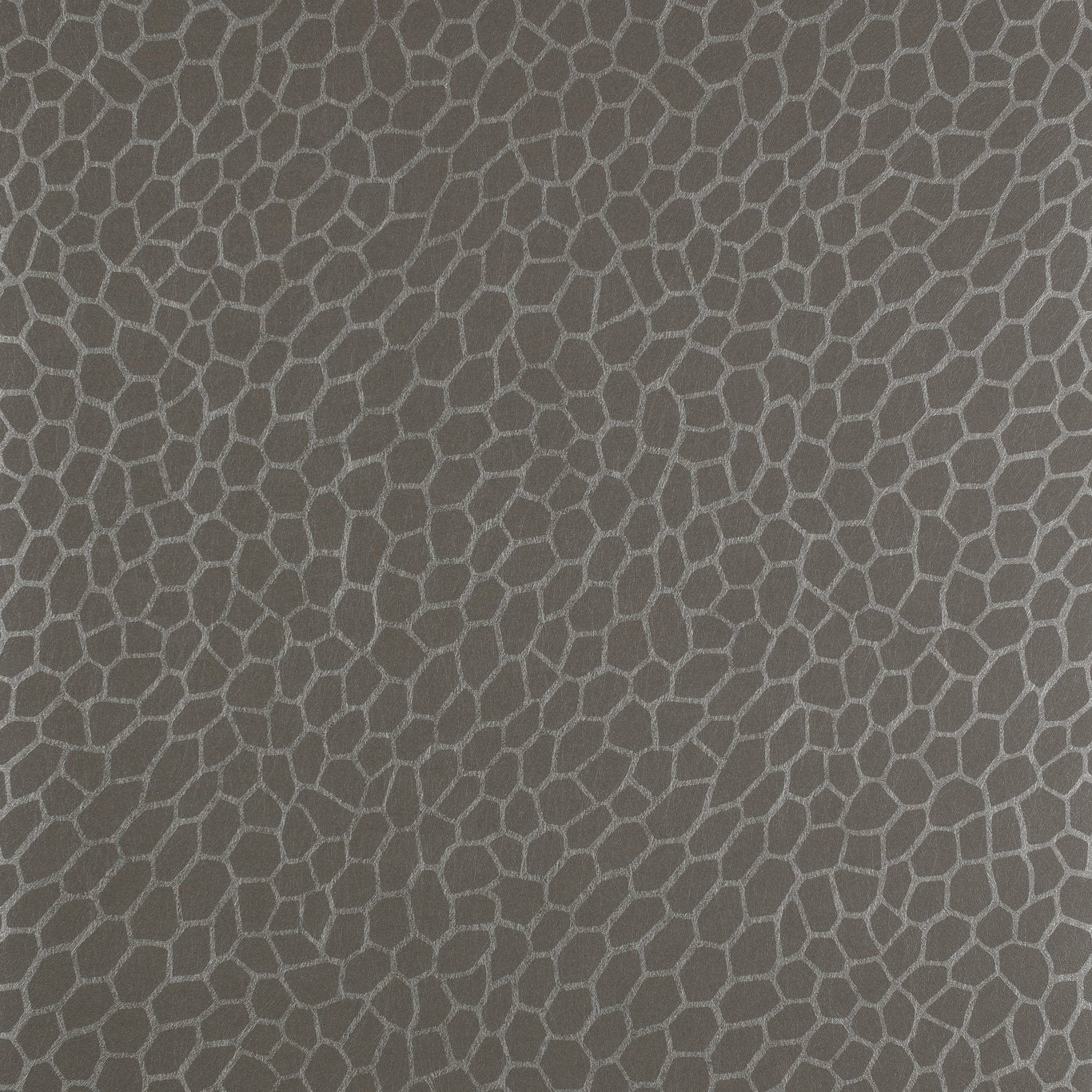 Cool granite-grey wallpaper with fine irregular pebble-cell lines and softly mottled depth