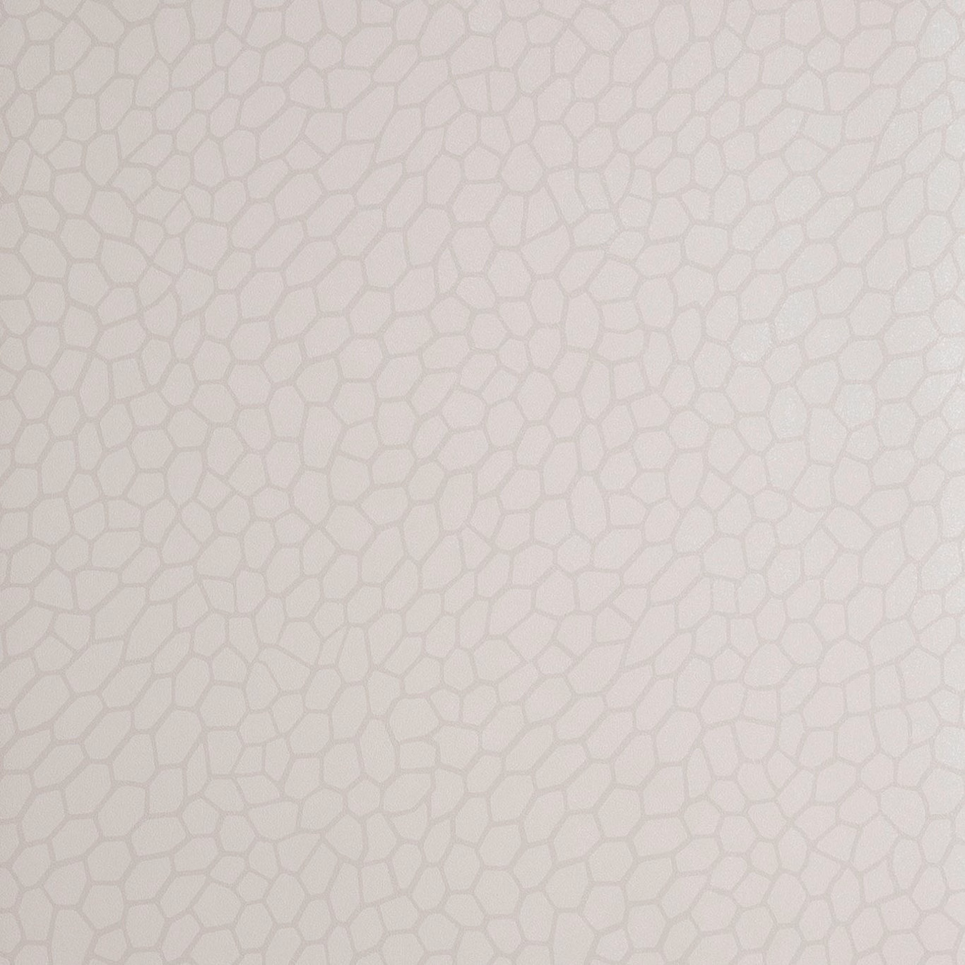 Pale parchment cream wallpaper with fine irregular cellular lines in warm grey-beige
