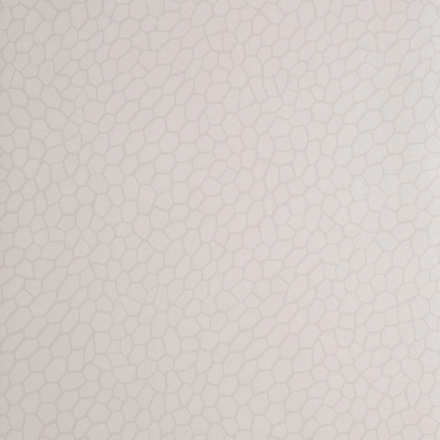 Pale parchment cream wallpaper with fine irregular cellular lines in warm grey-beige
