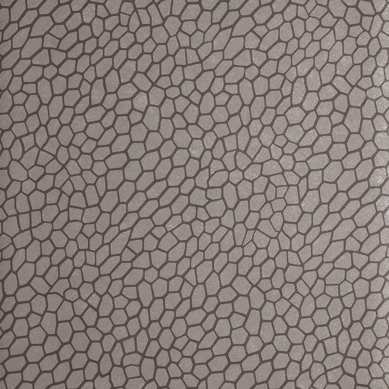 Warm pewter-grey wallpaper with irregular dark cellular outlines and subtle textured surface
