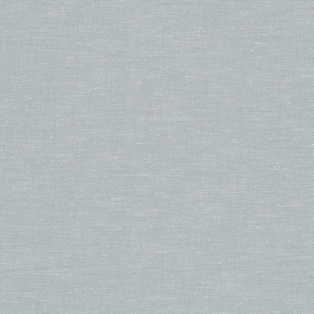 Pale mineral blue-grey fabric with a fine, subtly mottled plain weave texture