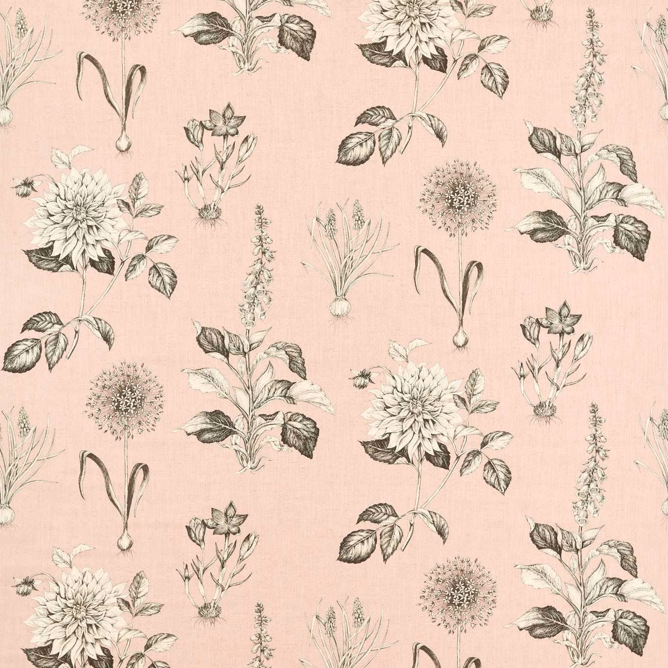 Blush pink floral fabric with grey-green dahlias, leaves and delicate botanical stems