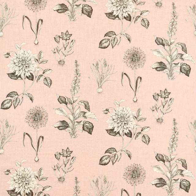 Blush pink floral fabric with grey-green dahlias, leaves and delicate botanical stems