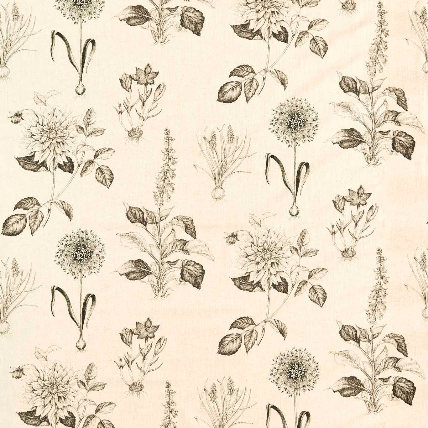 Charcoal botanical sketches scattered across a softly warm ivory ground