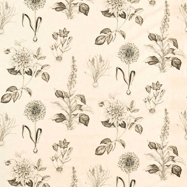 Charcoal botanical sketches scattered across a softly warm ivory ground
