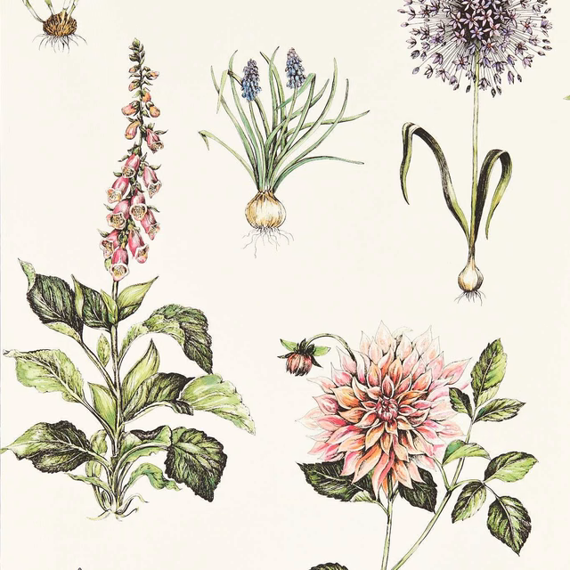 Cream wallpaper with pink dahlias, foxgloves, green foliage and lilac alliums
