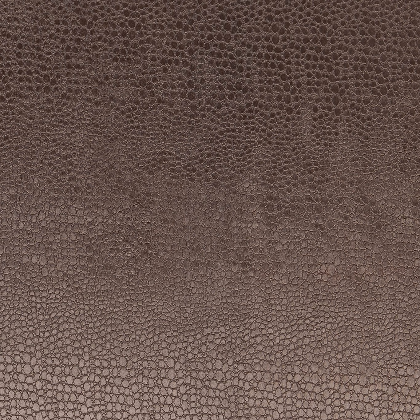 Warm charcoal velvet with an irregular small cellular pattern and softly varied pile