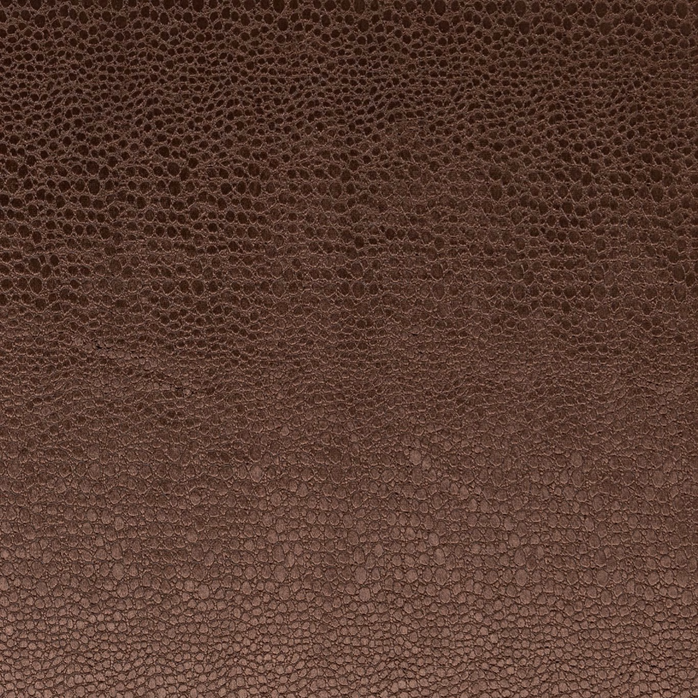 Deep espresso velvet with a small organic looped texture and softly varied brown sheen