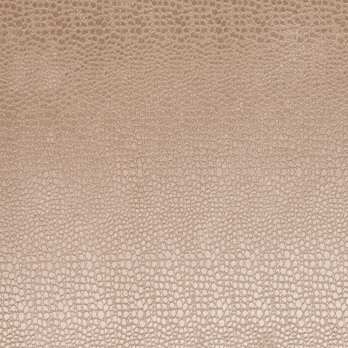 Warm sandy beige velvet with small irregular cellular motifs and softly shaded texture