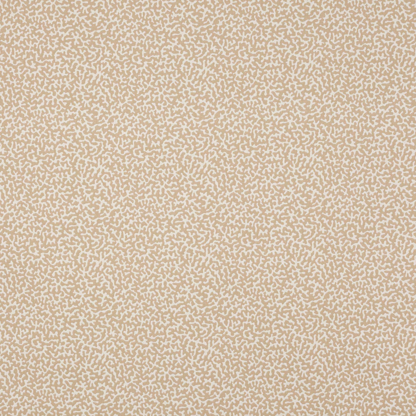 Close-up of pale sable beige fabric with tiny abstract ivory motif