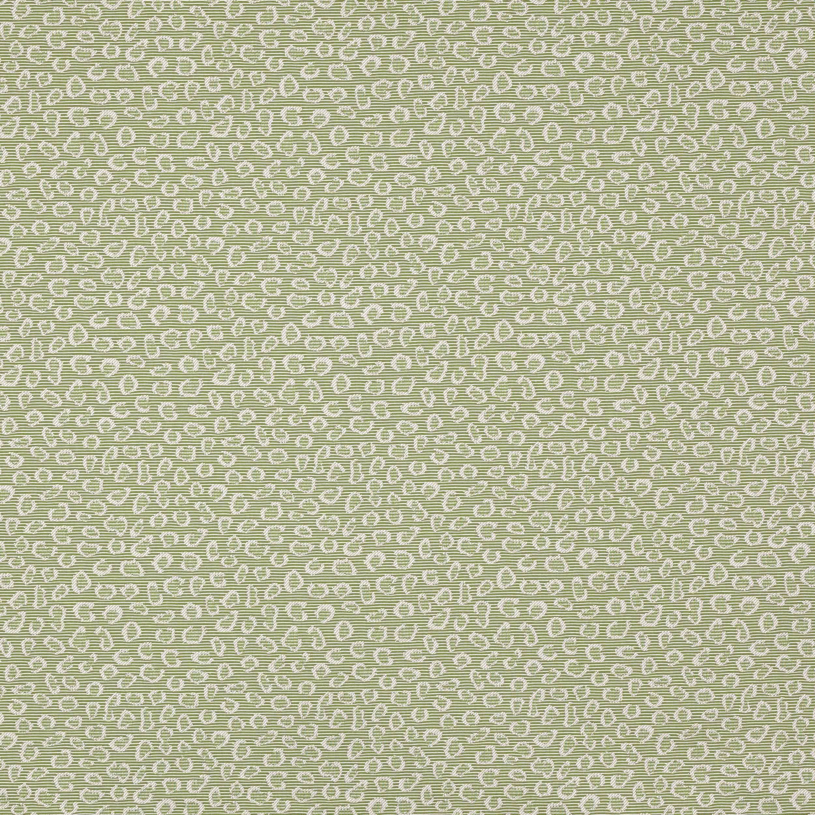 Soft sage green woven fabric with tiny looping abstract pattern