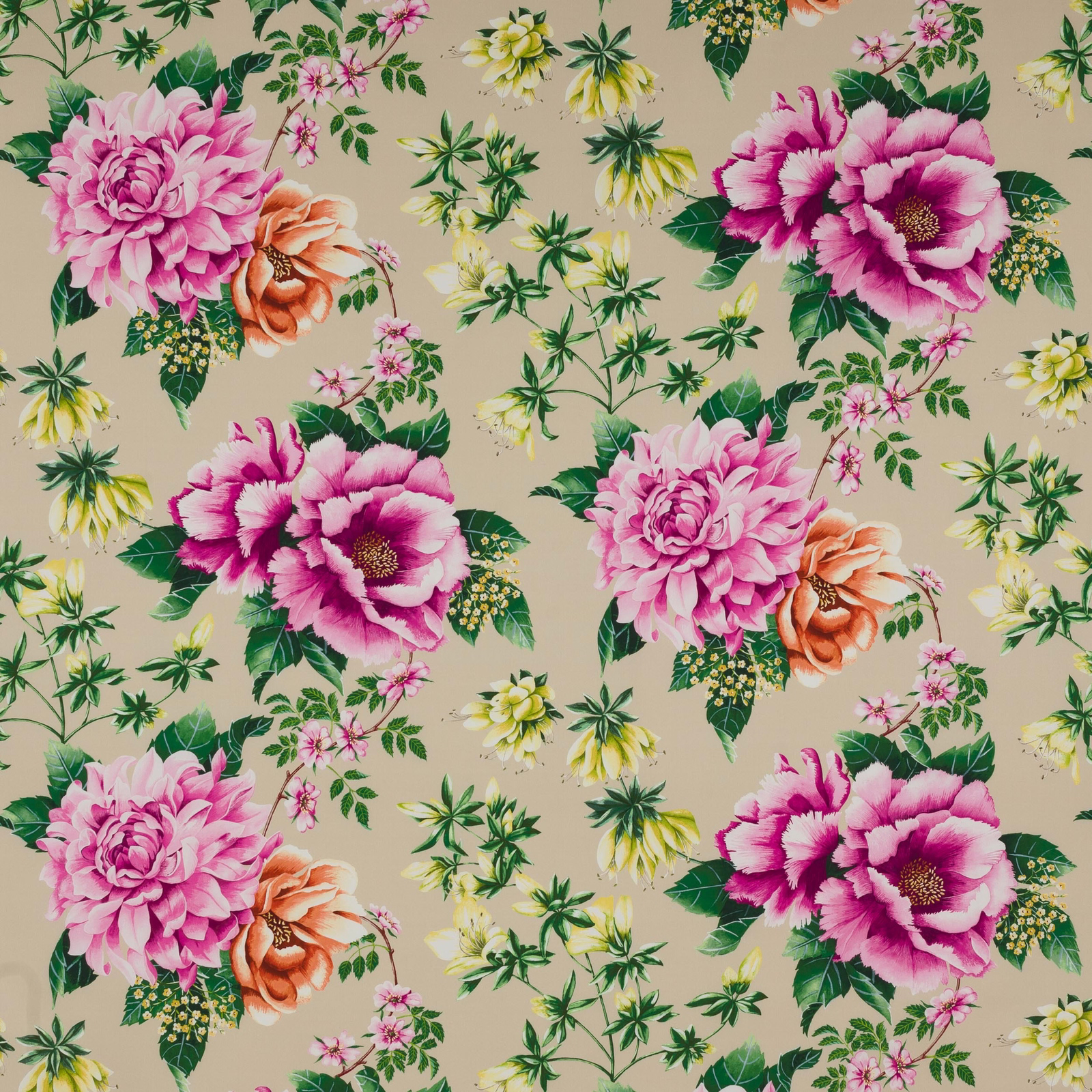 Large pink and coral floral cotton fabric on a warm beige ground