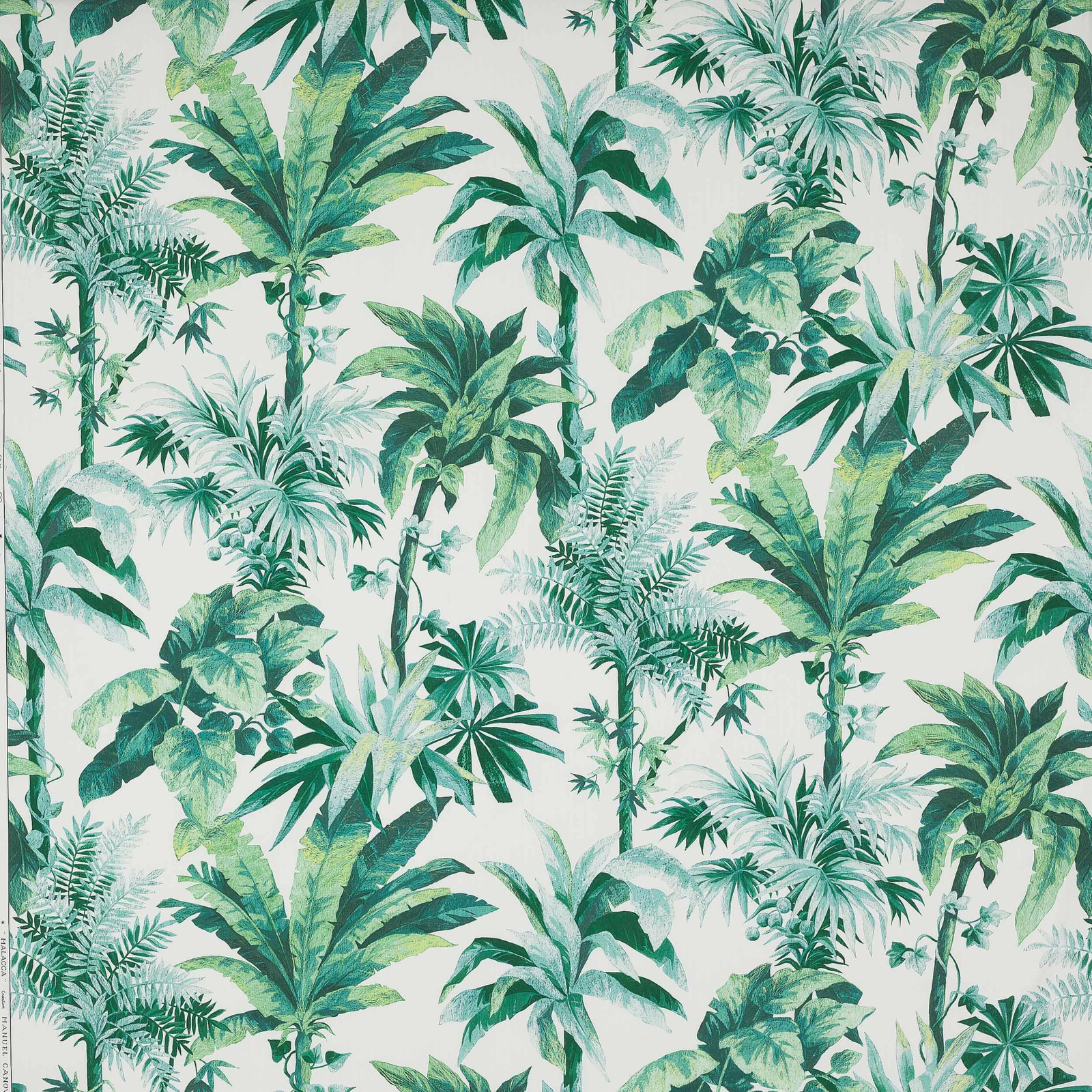 Green tropical leaf print on a pale ground, with layered palm fronds and ferns
