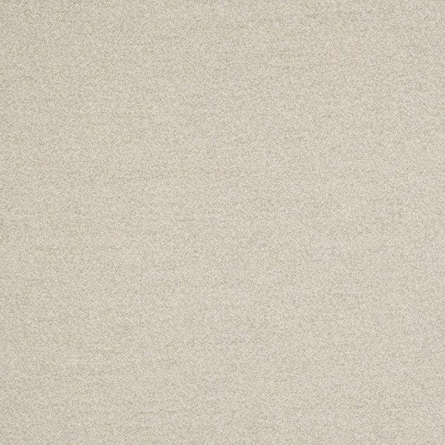 Soft off-white woven fabric with a fine grainy texture