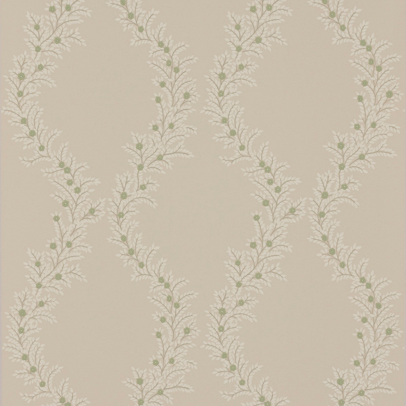 Warm ivory wallpaper showing vertical trailing foliage with muted sage-green buds