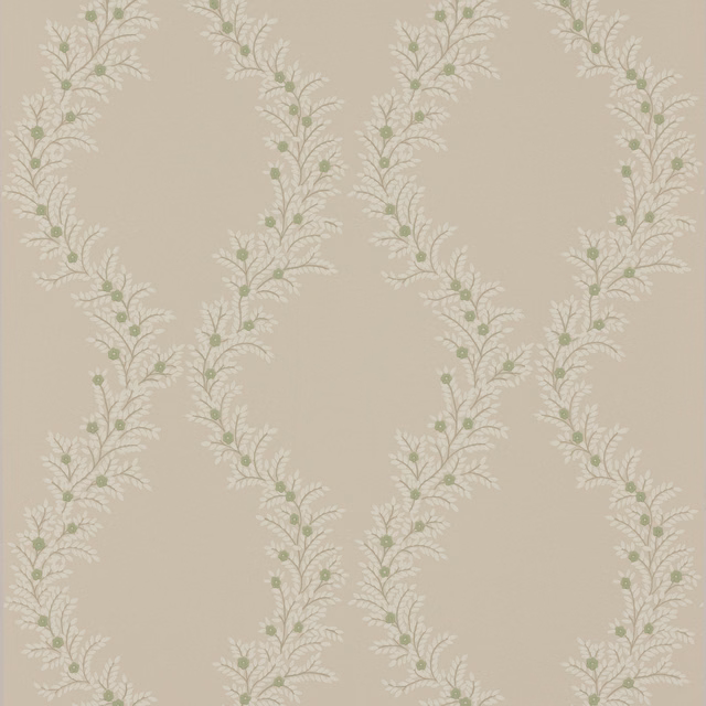 Warm ivory wallpaper showing vertical trailing foliage with muted sage-green buds