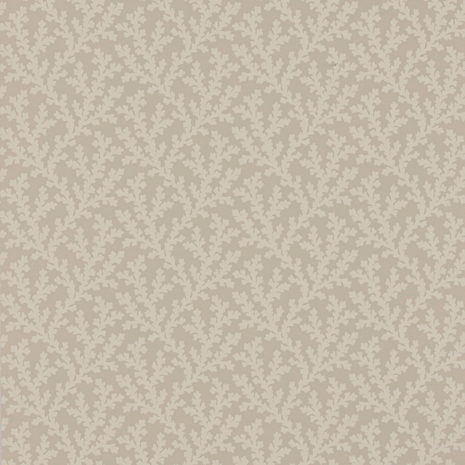 Warm beige wallpaper with dense pale cream branching coral motifs in a small repeat