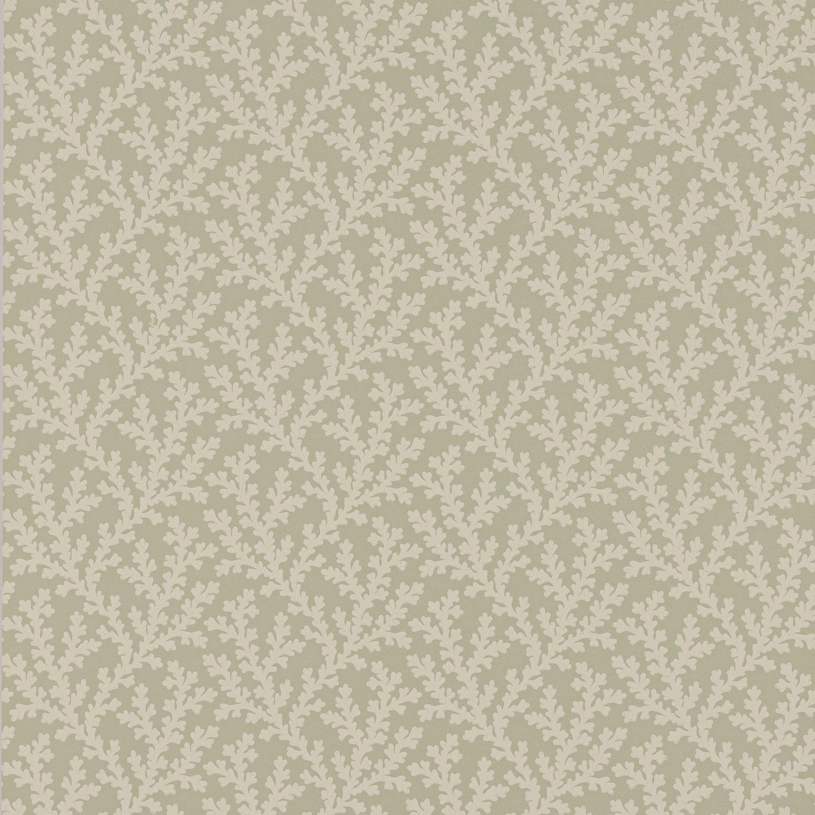 Muted sage wallpaper with dense ivory branching leaves in a small botanical repeat