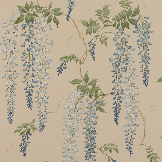 Parchment wallpaper with cascading blue wisteria, sage leaves and pale blossoms