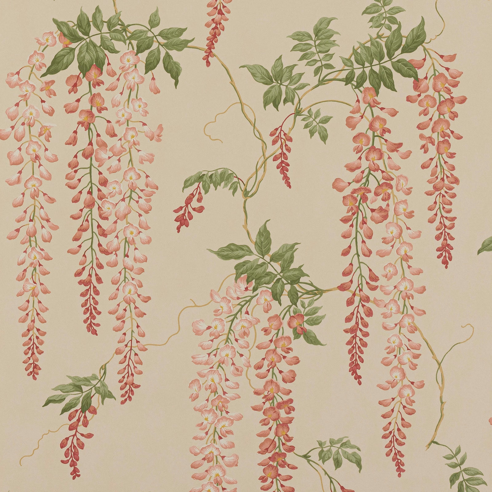 Old pink cascading flowers and sage leaves on a warm parchment wallpaper ground