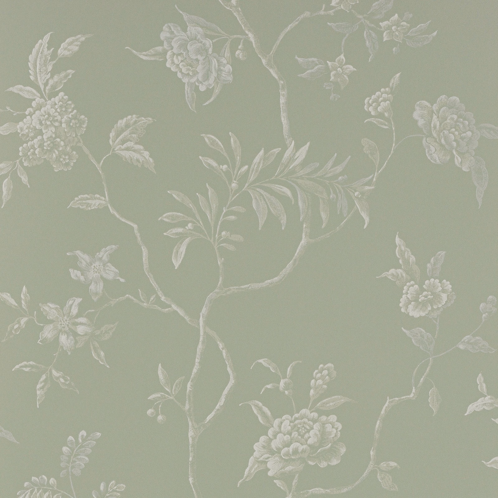 Pale sage-aqua wallpaper with ivory branching florals and layered blooms