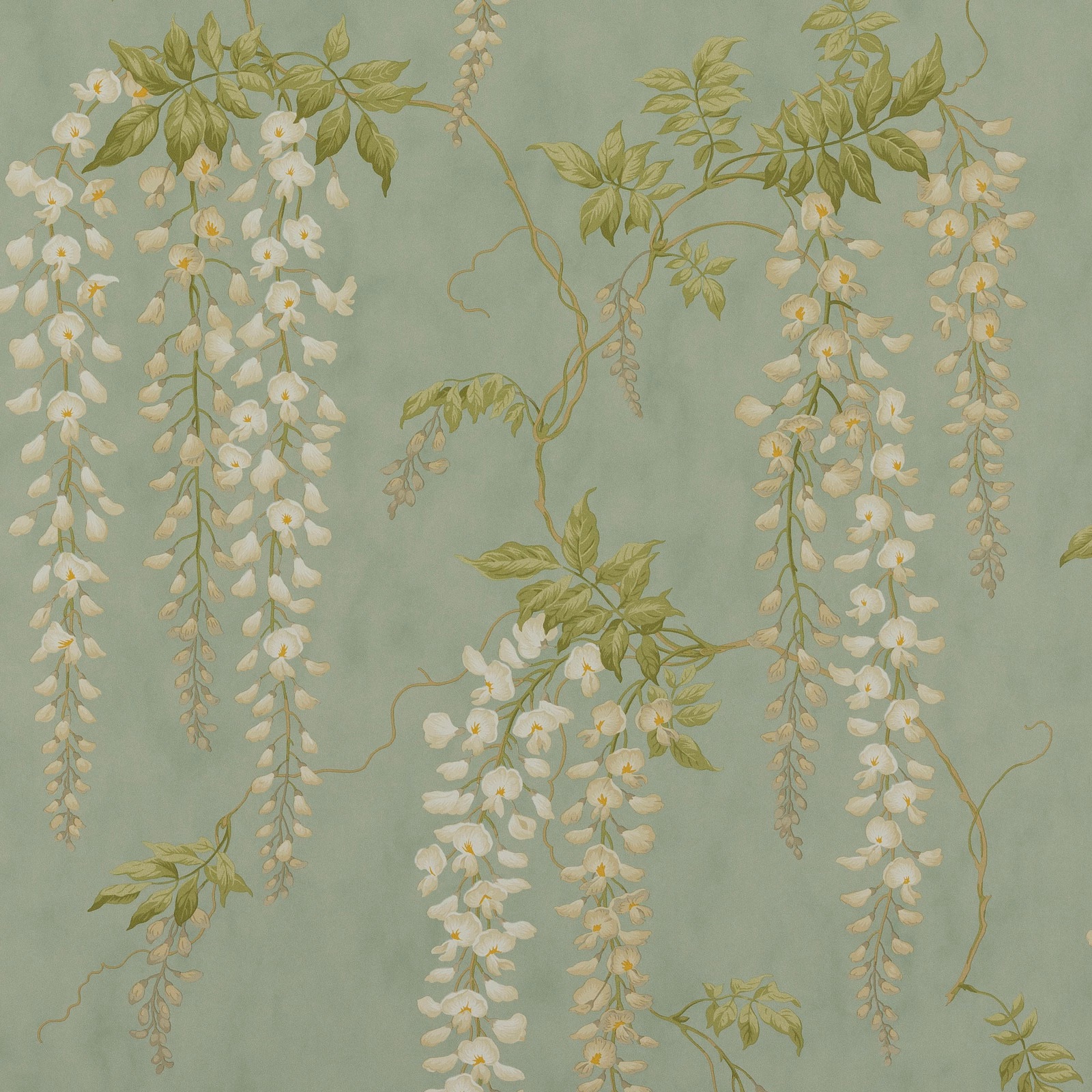 Muted aqua wallpaper with ivory hanging blossoms, olive leaves and curling stems