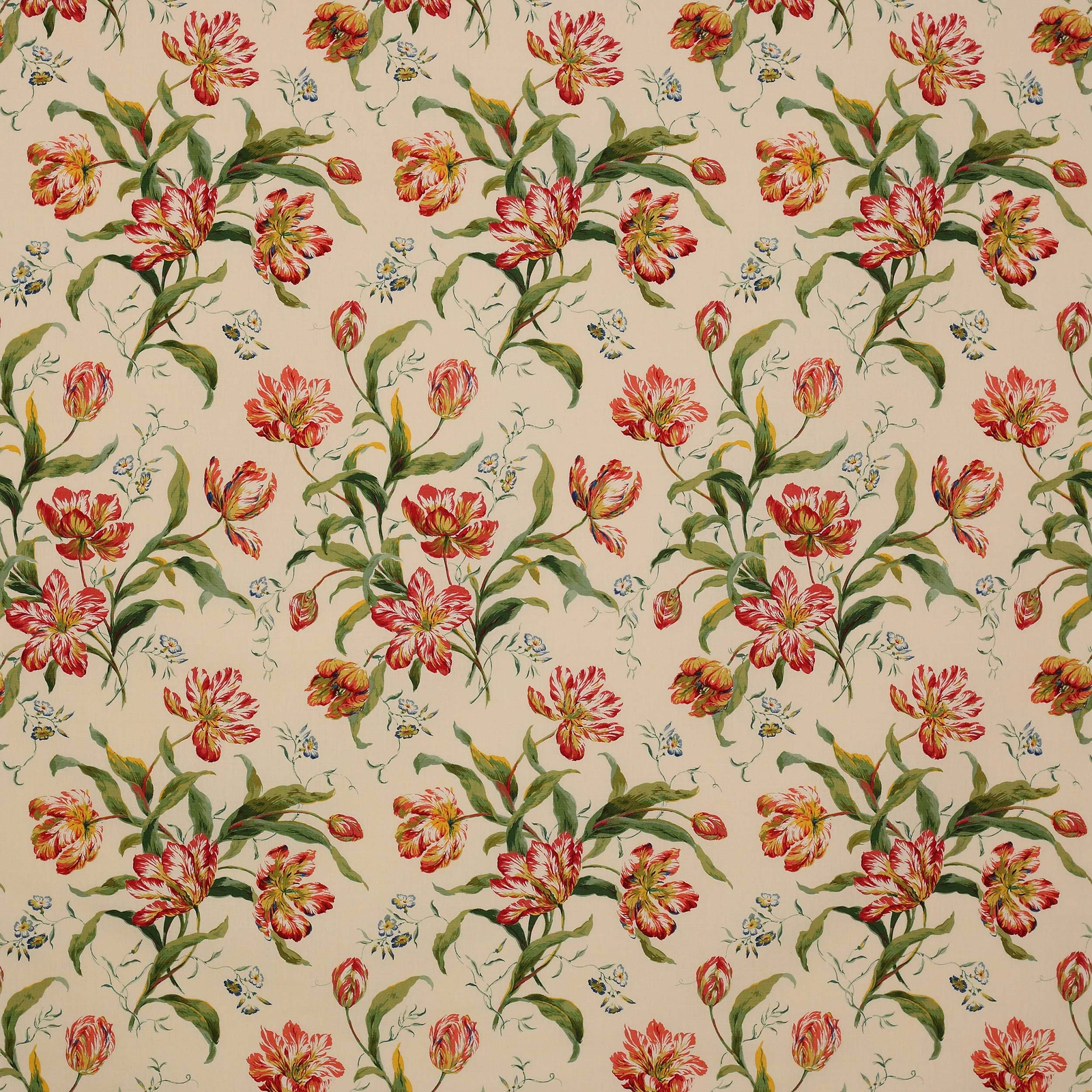 Large painterly tulip floral print in pink, green and gold on a cream ground