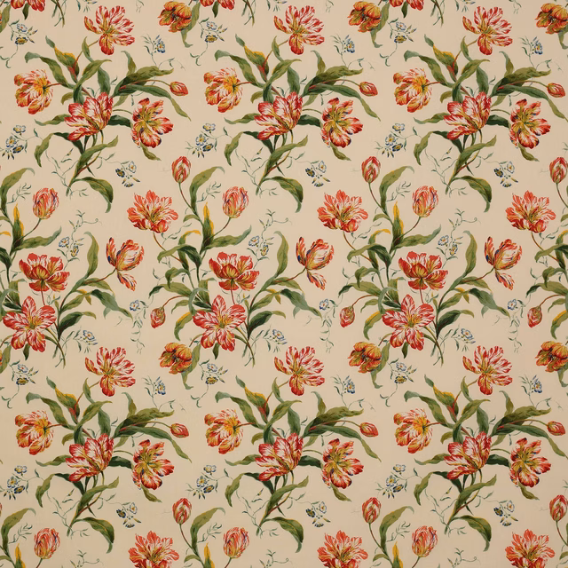 Large painterly tulip floral print in pink, green and gold on a cream ground