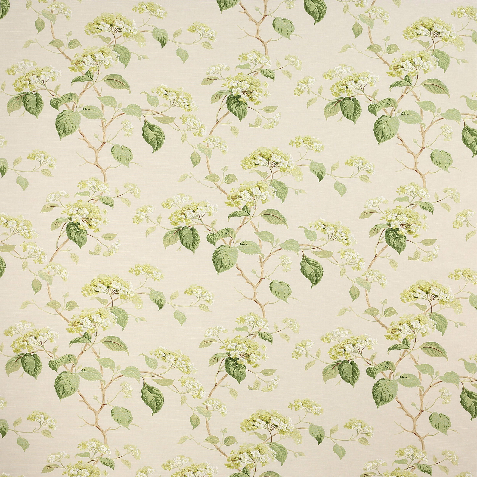 Large green leafy floral print on a cream ground, with airy blossom clusters