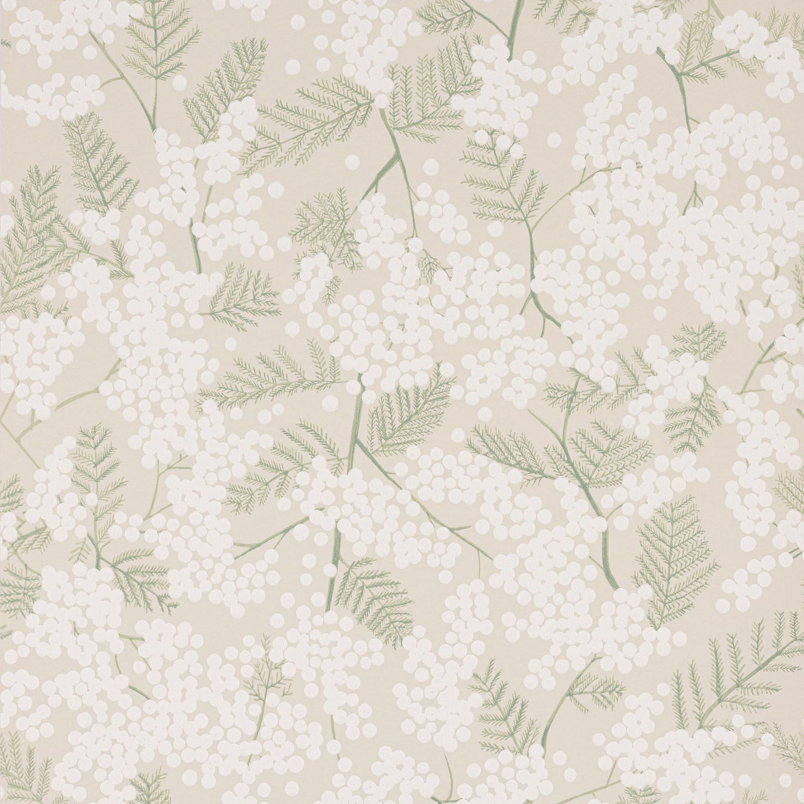 Warm beige wallpaper with white blossom clusters and pale sage fern-like foliage