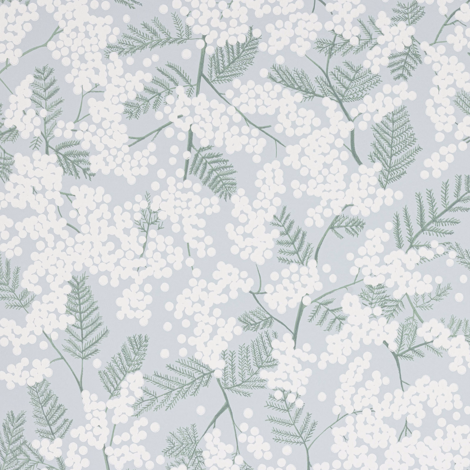Pale blue-grey wallpaper with white mimosa clusters and sage fern-like branches