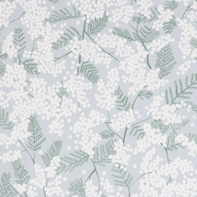 Pale blue-grey wallpaper with white mimosa clusters and sage fern-like branches