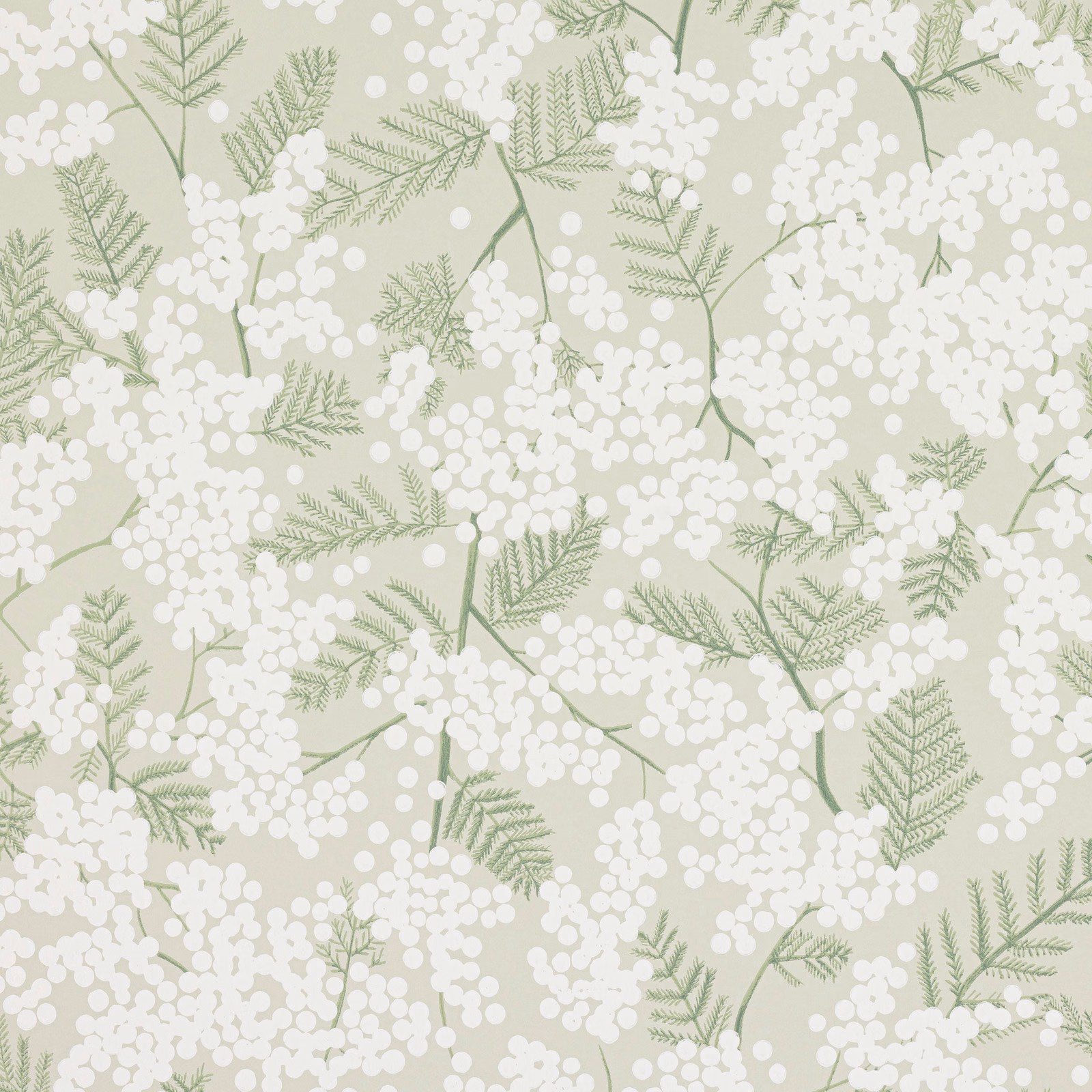Pale sage green wallpaper with white berry clusters and delicate fern-like branches