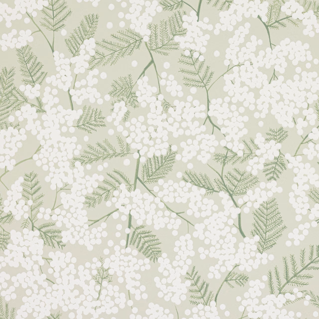 Pale sage green wallpaper with white berry clusters and delicate fern-like branches