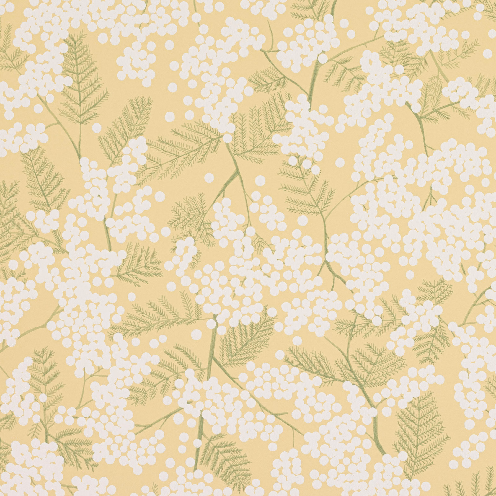 Warm mimosa-yellow wallpaper with white blossom clusters and sage fern-like foliage