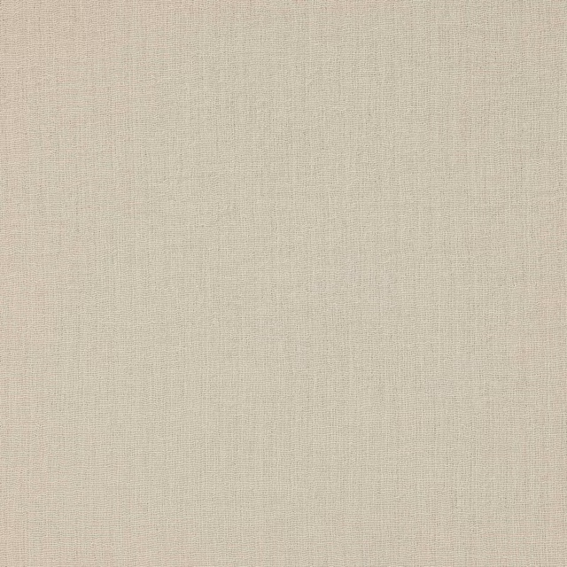 Close-up of pale birch cream plain woven fabric with a fine textured surface