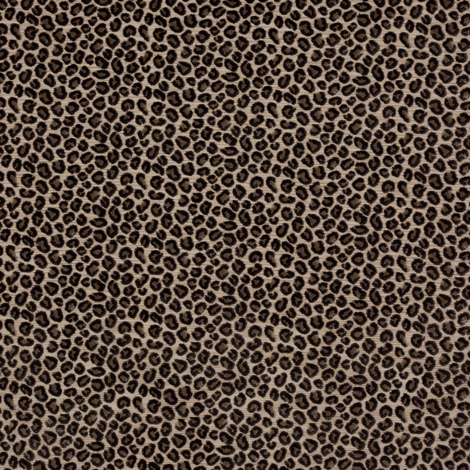 Small charcoal leopard spots on a warm taupe fabric swatch
