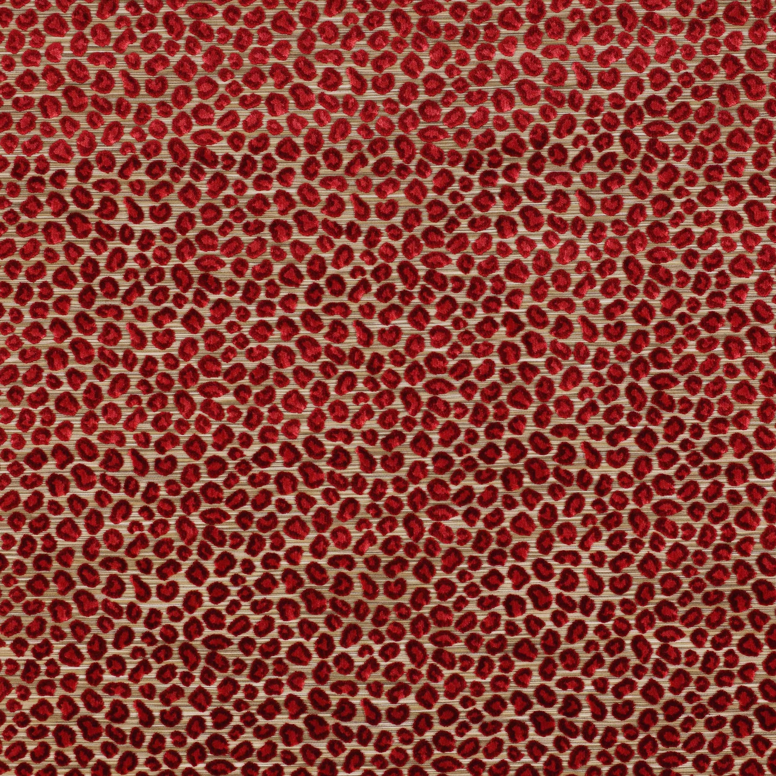 Close-up of small ruby red animal spots on a warm pale woven ground