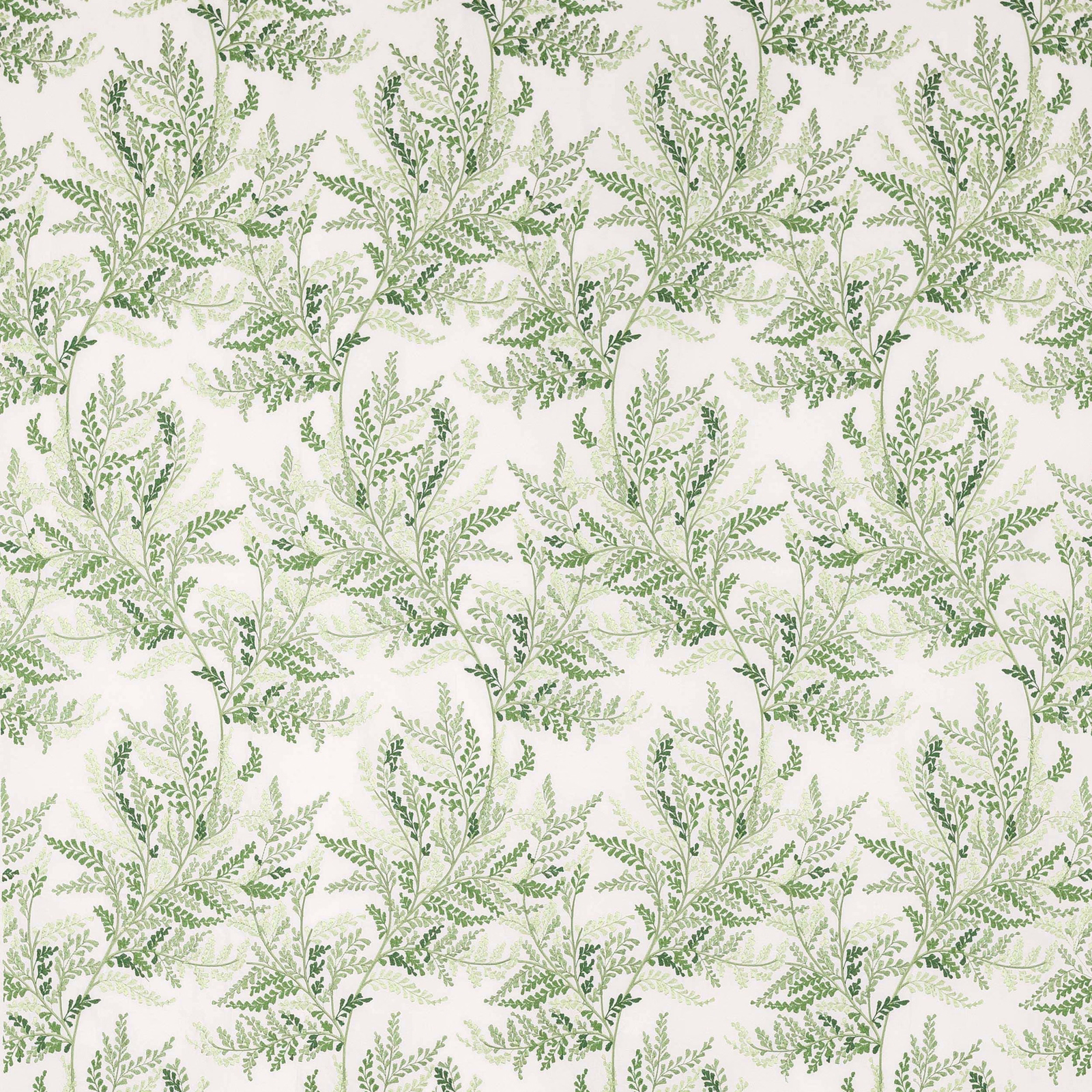 Leafy green botanical print on an ivory ground with a repeated trailing pattern