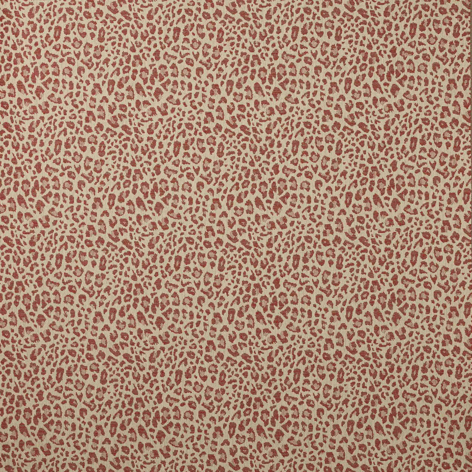 Close-up of small brick-red leopard spots on a sandy woven ground