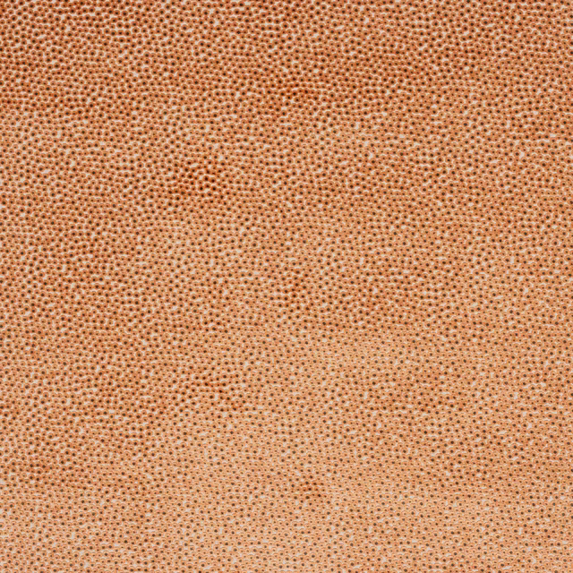 Close-up of textured terracotta-orange fabric with tiny dotted weave