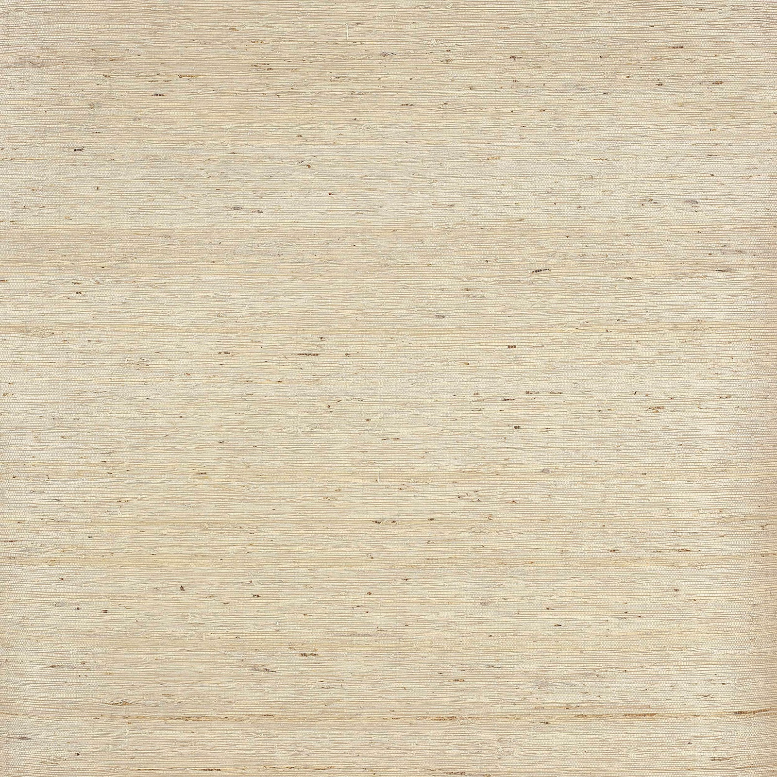 Pale warm taupe wallpaper with fine horizontal fibres and scattered dark flecks